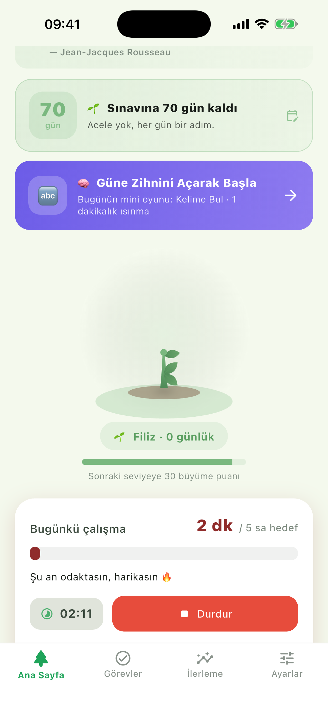 Focus timer running while the tree stands at sapling stage